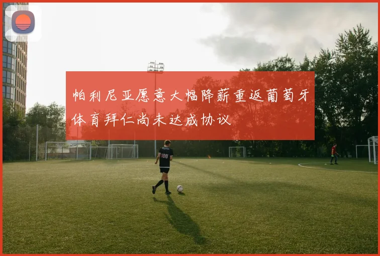 帕利尼亚愿意大幅降薪重返葡萄牙体育拜仁尚未达成协议