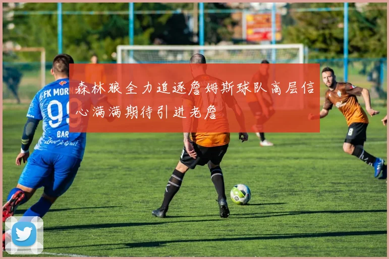 森林狼全力追逐詹姆斯球队高层信心满满期待引进老詹