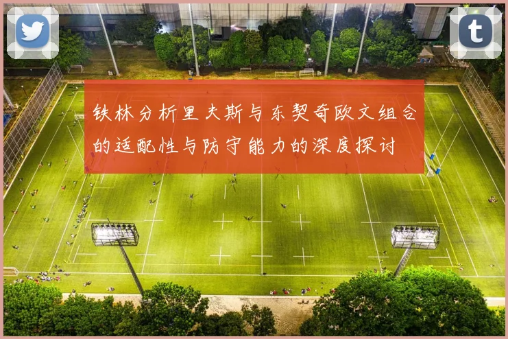 铁林分析里夫斯与东契奇欧文组合的适配性与防守能力的深度探讨